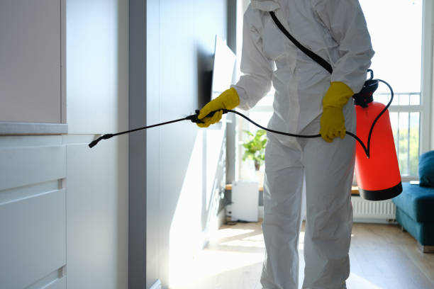Best Professional Mold Removal  in Grandview Plaza, KS