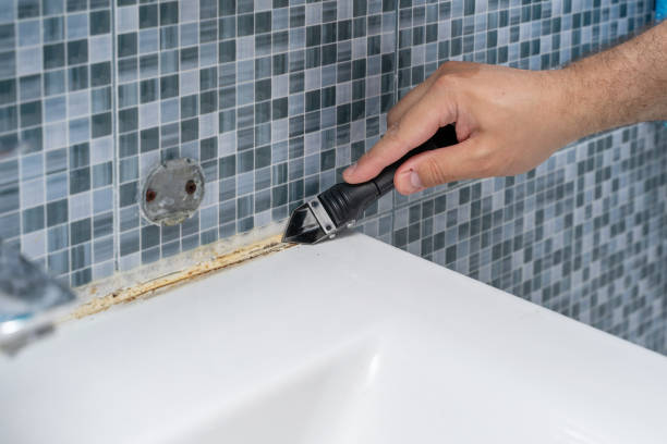 Best Mold Remediation  in Grandview Plaza, KS