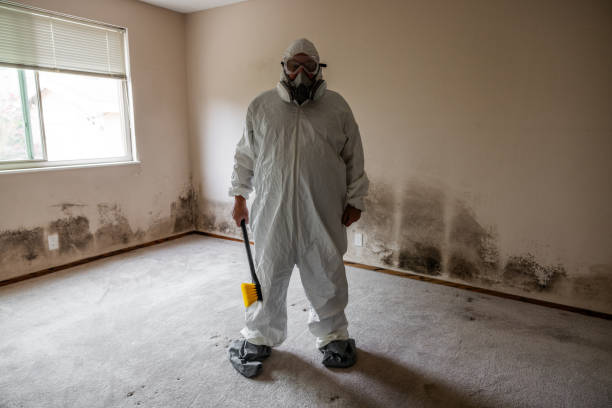 Best Mold Remediation Experts  in Grandview Plaza, KS